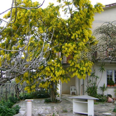 B&B La Mimosa Spello Exterior photo